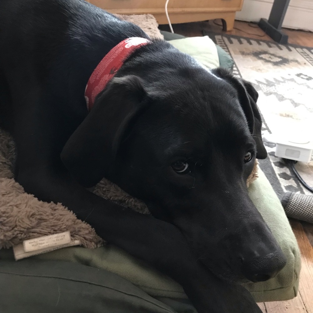 Meet your Posher, Mckenna